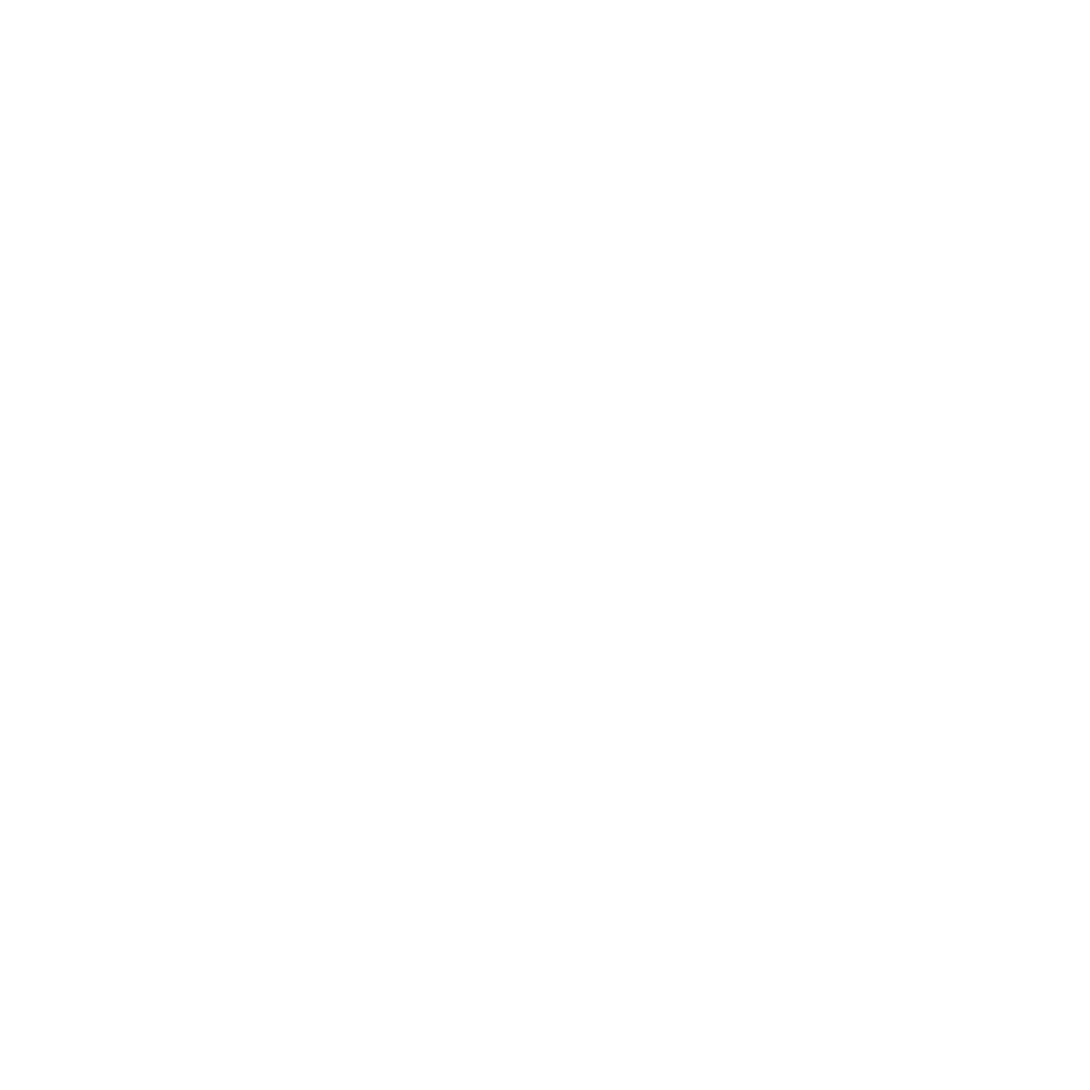 DK Zier's logo